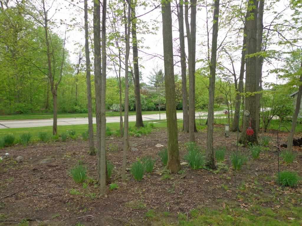 9228 Timber Ridge Court Fort Wayne, IN 46804 - Photo 7 of 9 Gallery Image 7