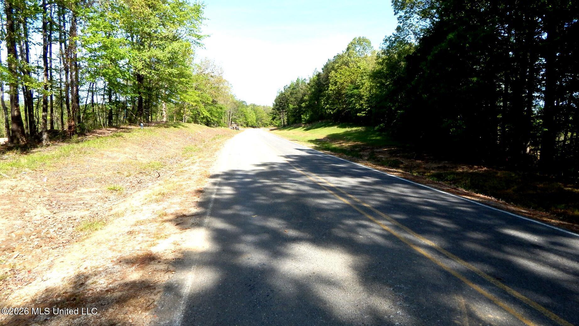 40 Nelia Road Grenada, MS 38901 - Photo 12 of 14 DSCN7393