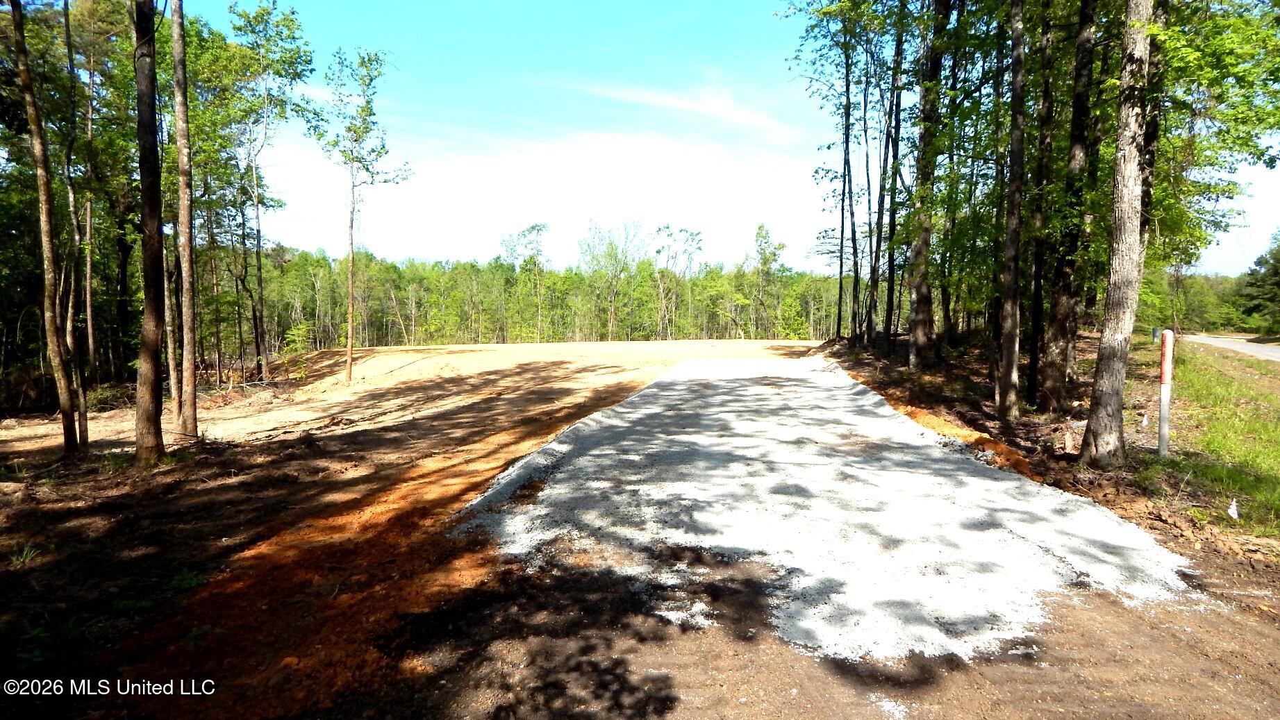 40 Nelia Road Grenada, MS 38901 - Photo 3 of 14 DSCN7383