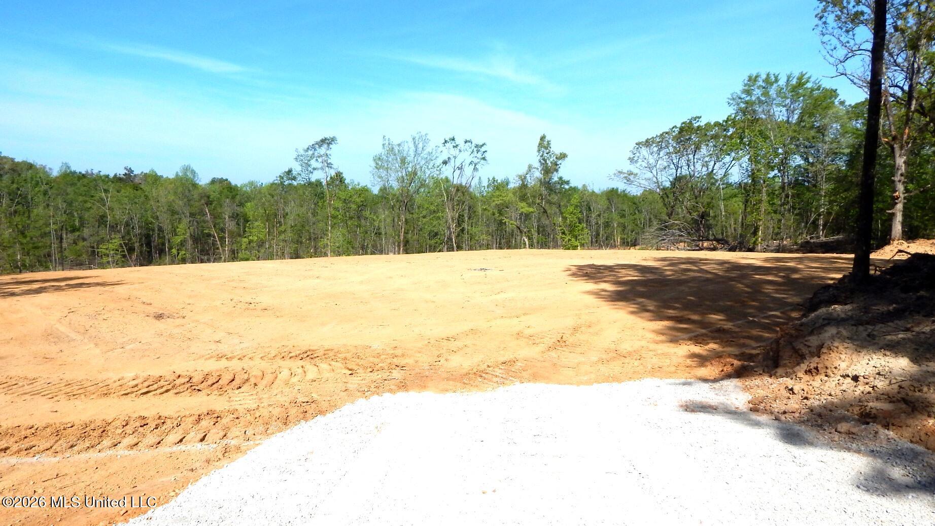 40 Nelia Road Grenada, MS 38901 - Photo 4 of 14 DSCN7384