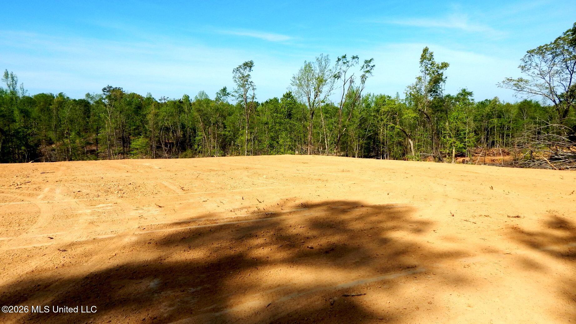 40 Nelia Road Grenada, MS 38901 - Photo 6 of 14 DSCN7387