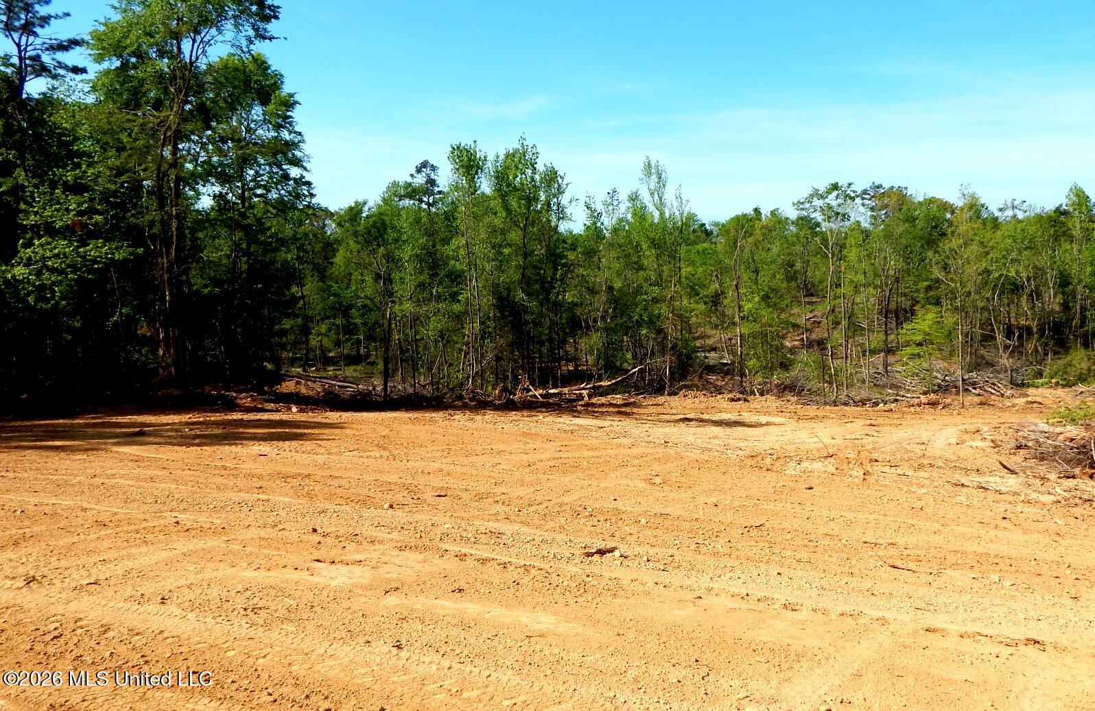 40 Nelia Road Grenada, MS 38901 - Photo 7 of 14 DSCN7388