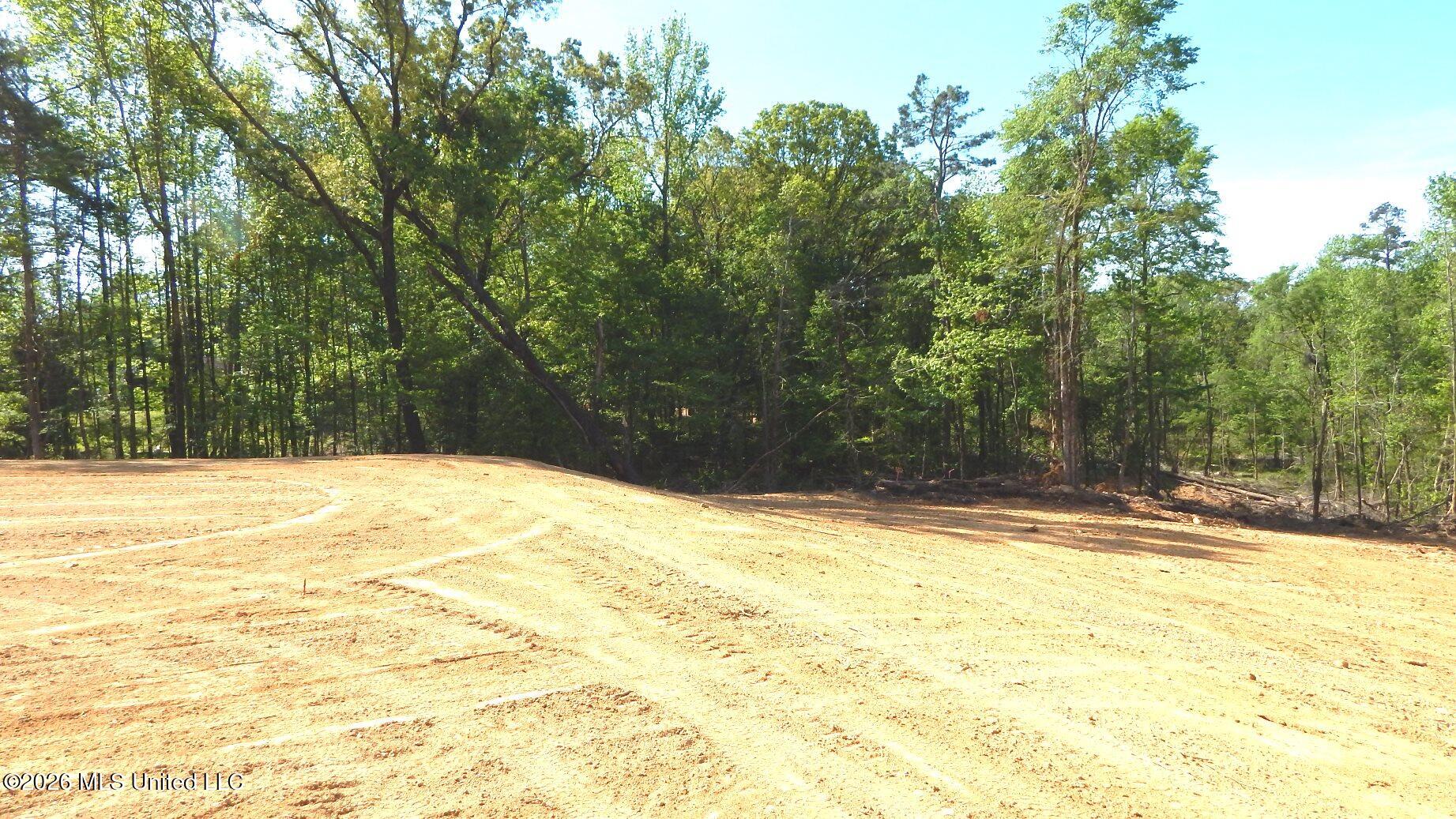 40 Nelia Road Grenada, MS 38901 - Photo 8 of 14 DSCN7389