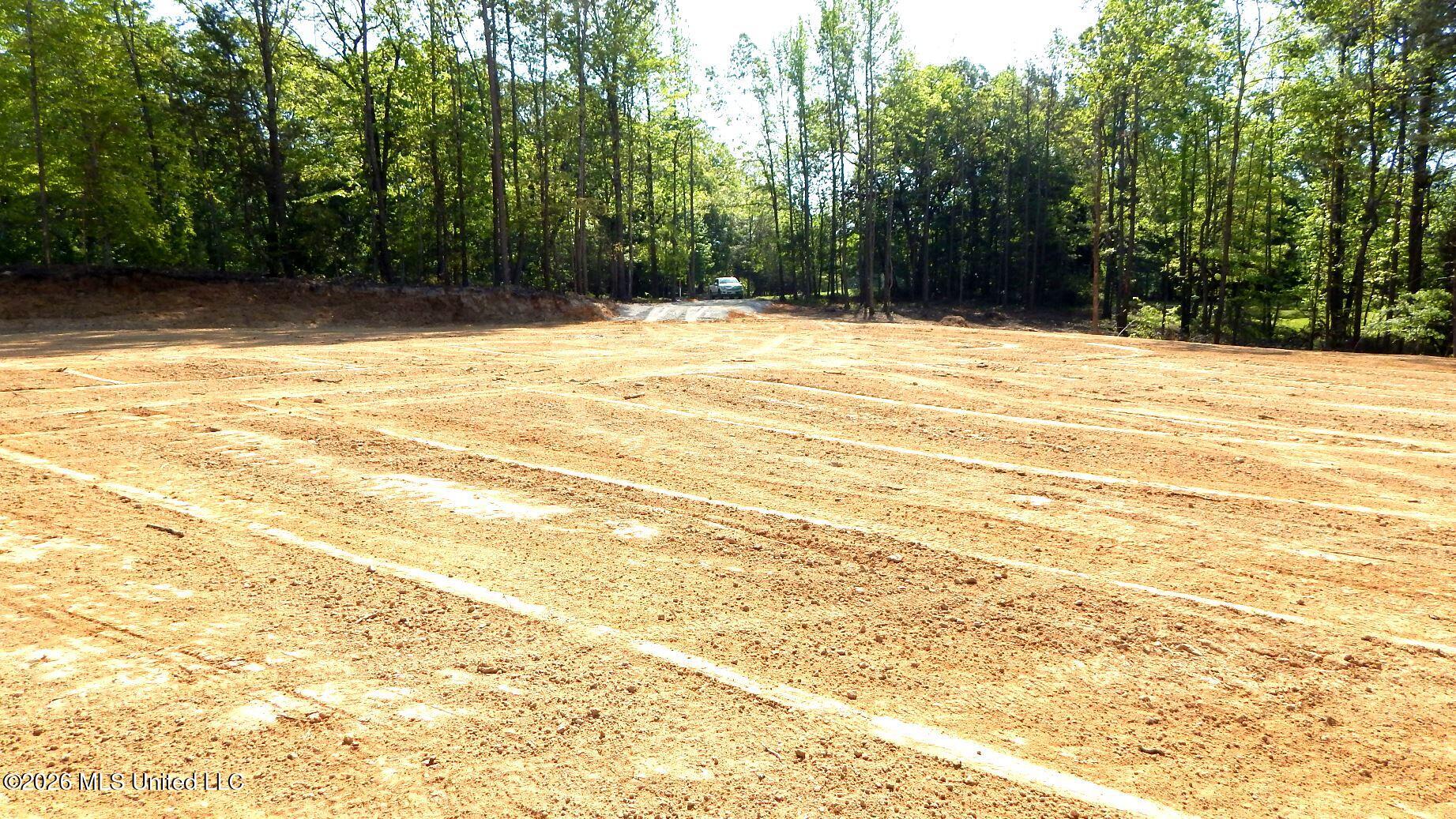 40 Nelia Road Grenada, MS 38901 - Photo 9 of 14 DSCN7390