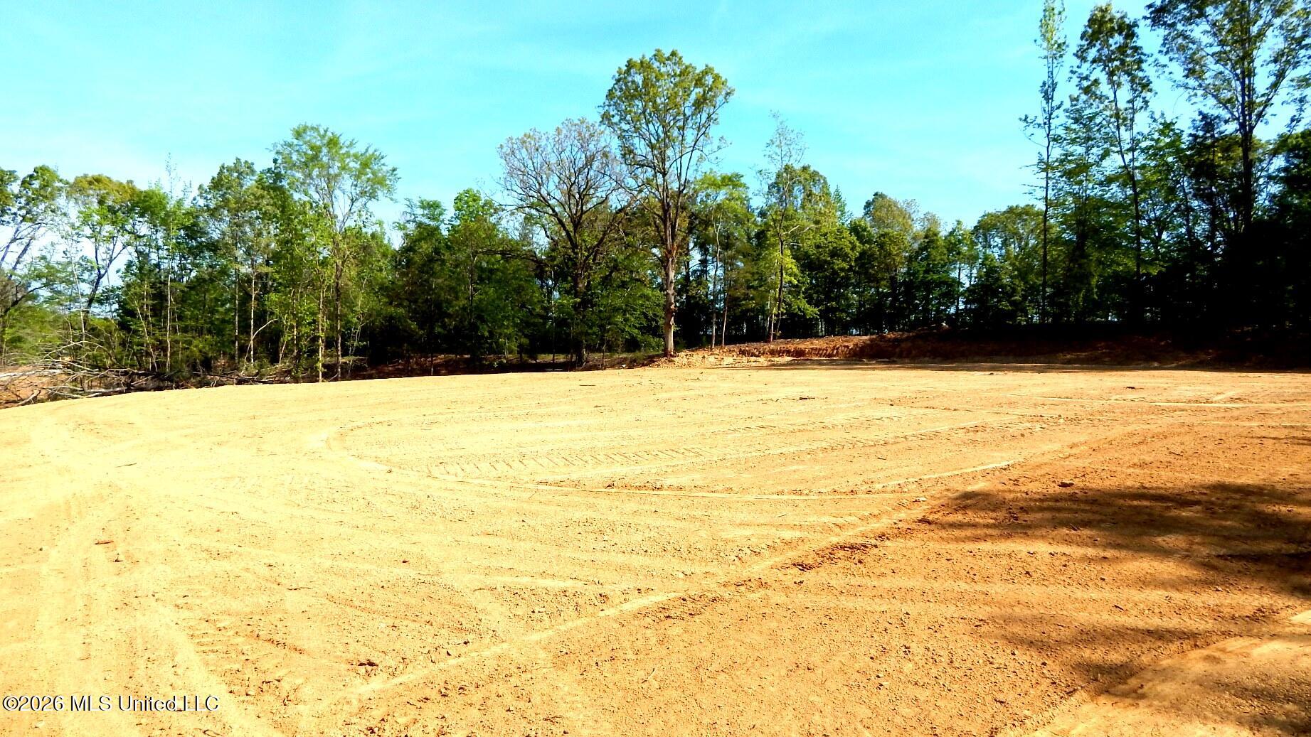 40 Nelia Road Grenada, MS 38901 - Photo 10 of 14 DSCN7391