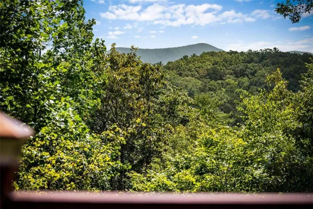 a view of a city with lush green forest