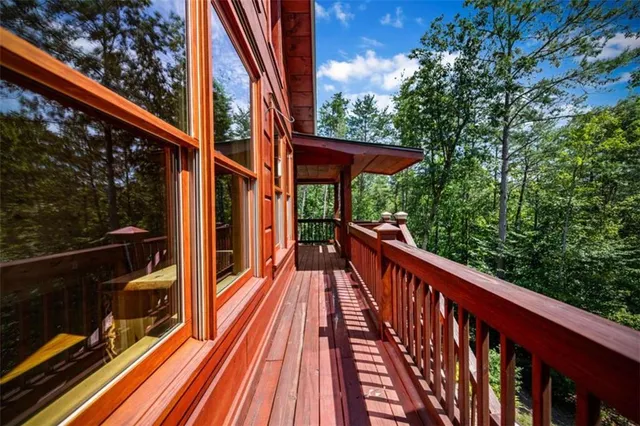 a view of a bunch of flowers and trees