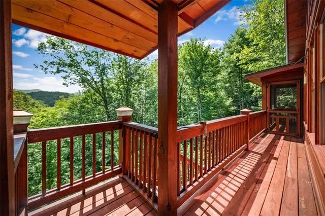 a view of a bunch of trees