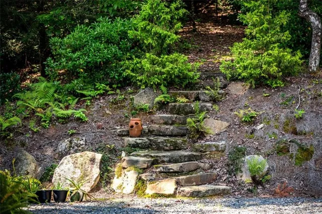 a backyard of a house with lots of green space