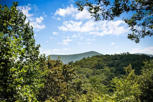 a backyard of a house with table and chairs potted plants
