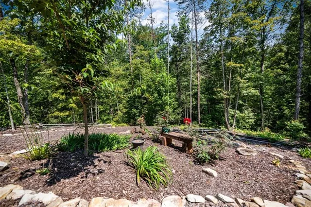 a view of a yard with plants and large trees