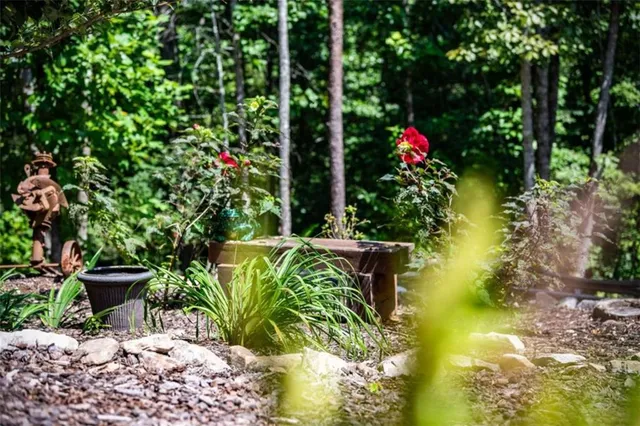 a backyard of a house with lots of green space