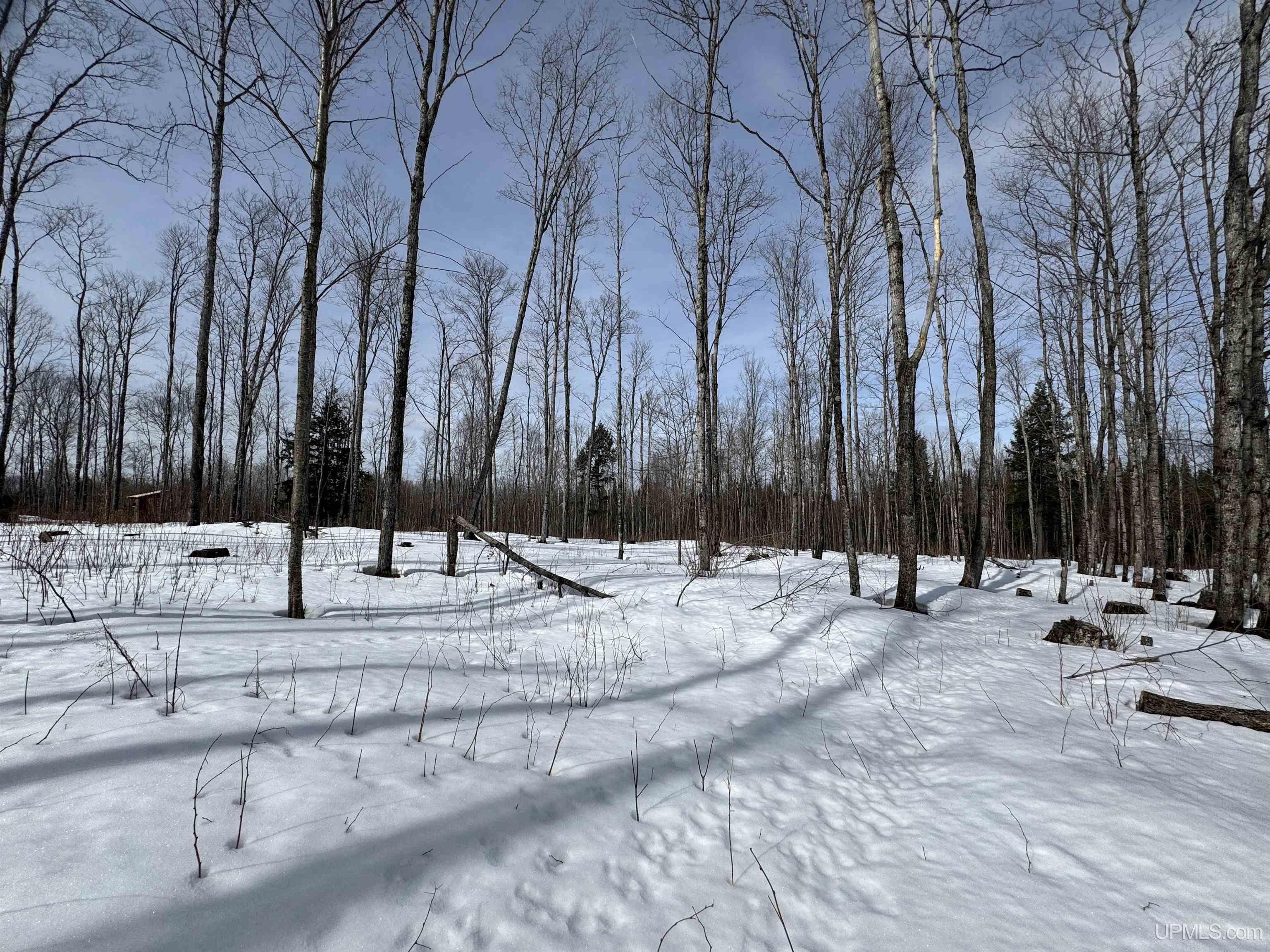19185 Dog Patch Road, Unit LOT E Lanse, MI 49946 - Photo 18 of 23 Gallery Image 18