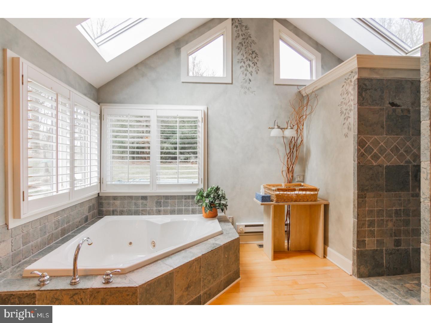 762 Brintons Bridge Road West Chester, PA 19382 - Photo 18 of 25 Master Bathroom