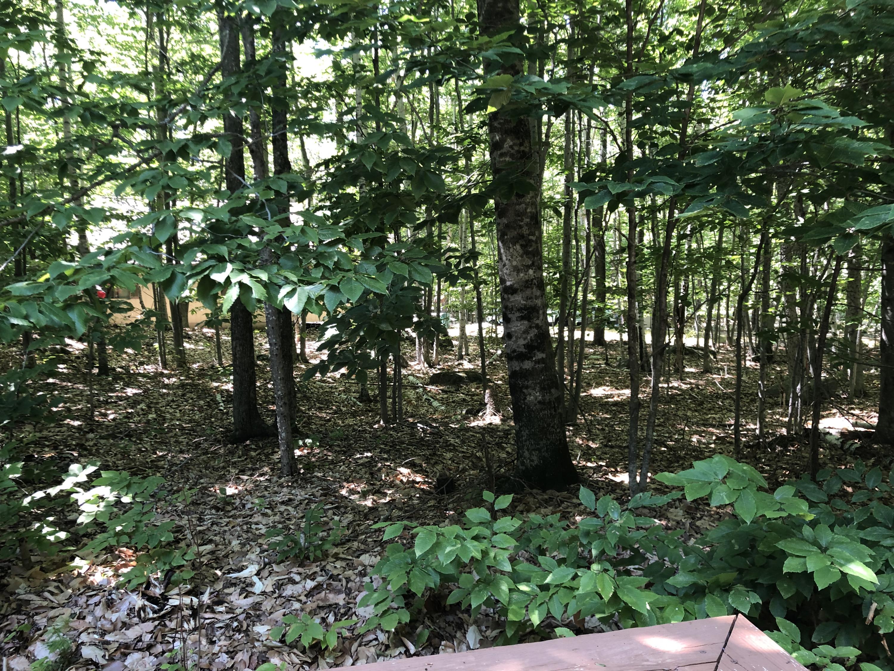 887 Sunset Road Standish, ME 04084 - Photo 31 of 33 IMG_1982
