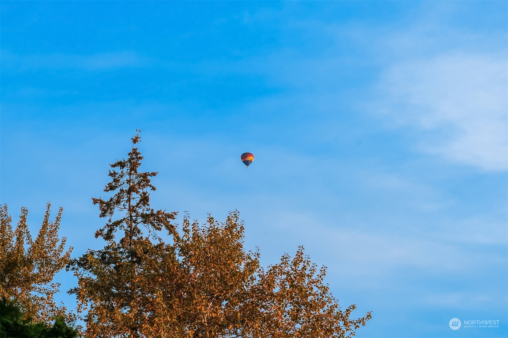 1005 Ave A Snohomish, WA 98290 - Photo 26 of 27