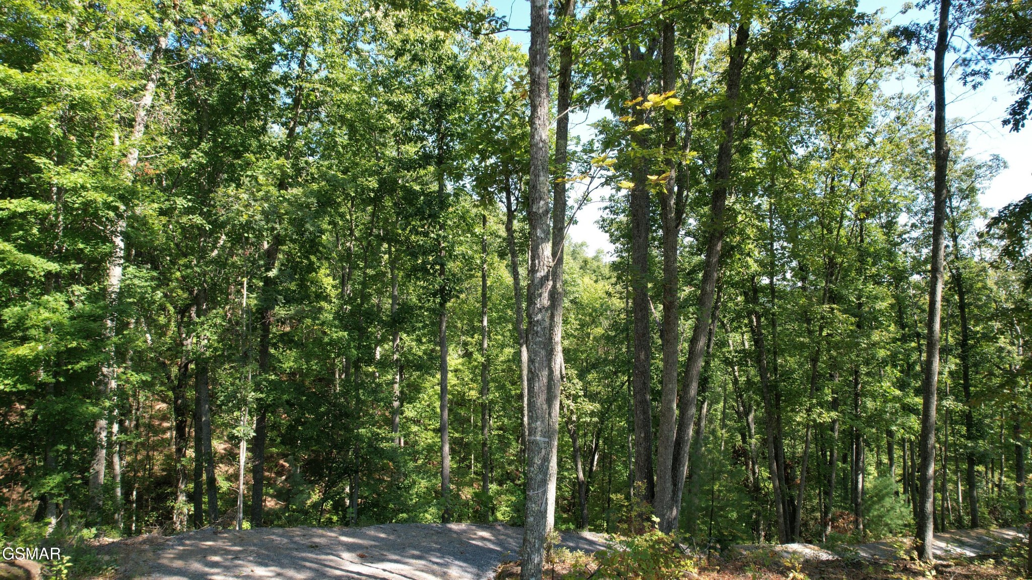 1 Sulpher Springs Way Sevierville, TN 37862 - Photo 10 of 12