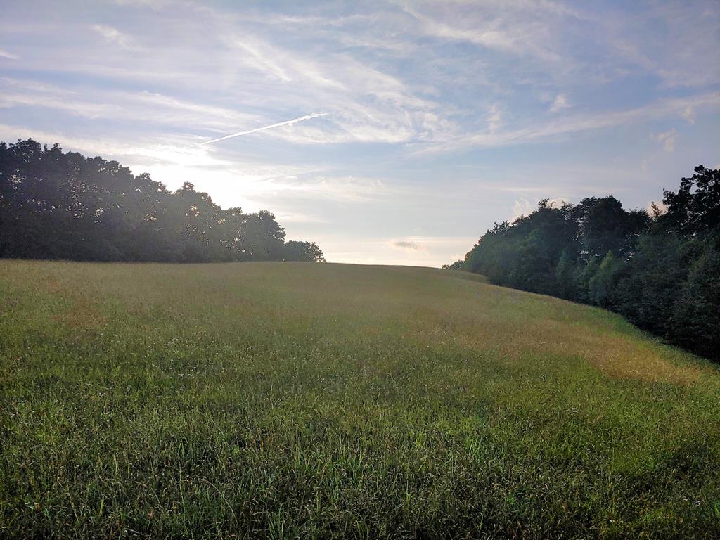 Tbd Ridge Road, Unit TRACT 3 Austinville, VA 24312 - Photo 19 of 19 Gallery Image 19