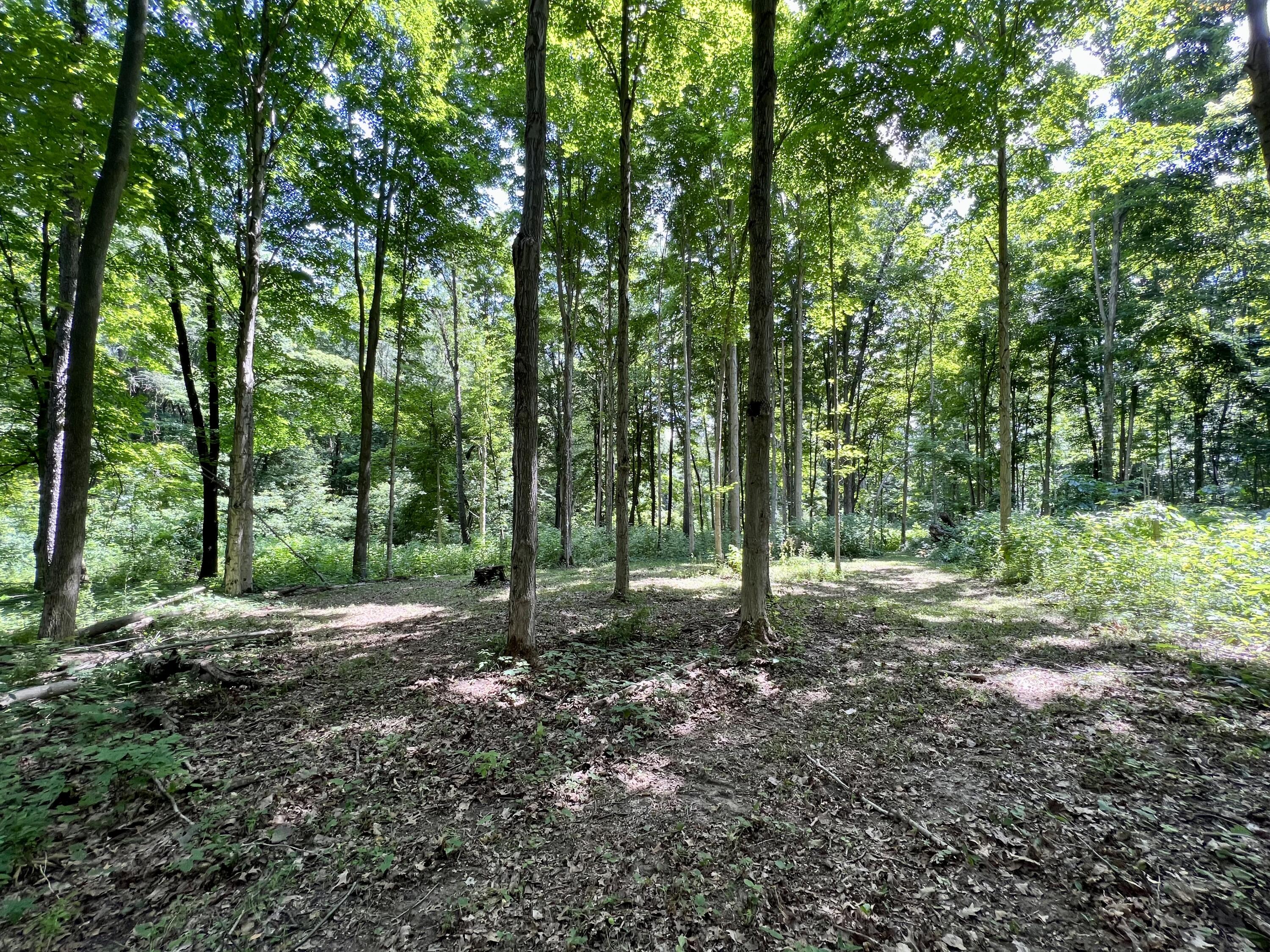 58497 Oak Grove Road Cassopolis, MI 49031 - Photo 11 of 13 3EF31B41-E497-4912-A39F-1F9F0047EE2F
