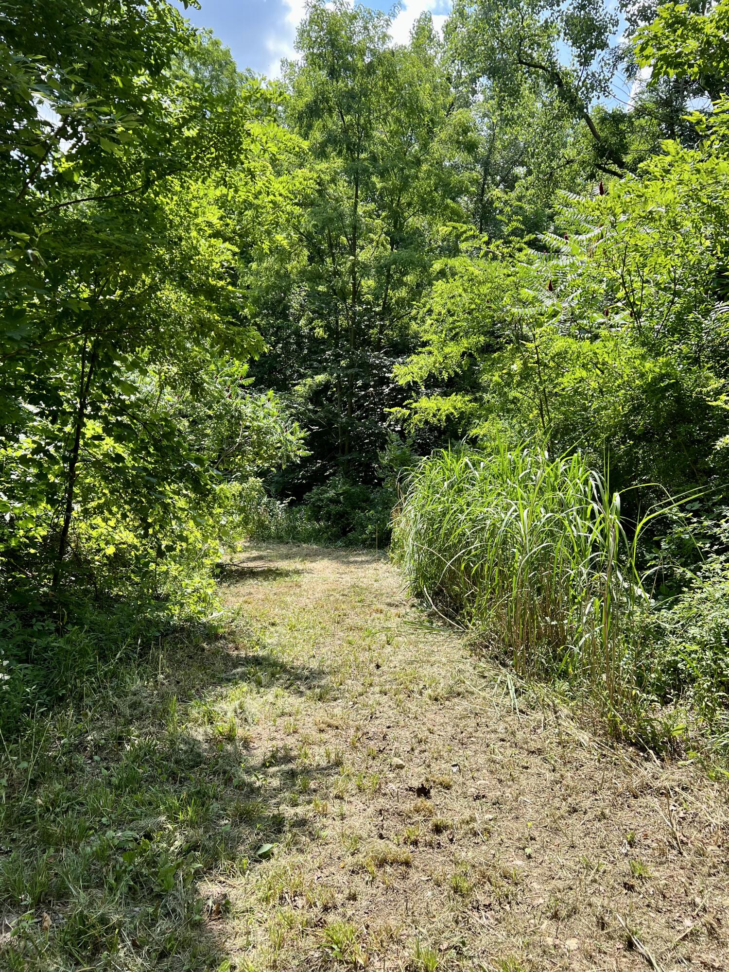 58497 Oak Grove Road Cassopolis, MI 49031 - Photo 2 of 13 D4DECA85-A878-4D07-B2C4-713F099AD6EB