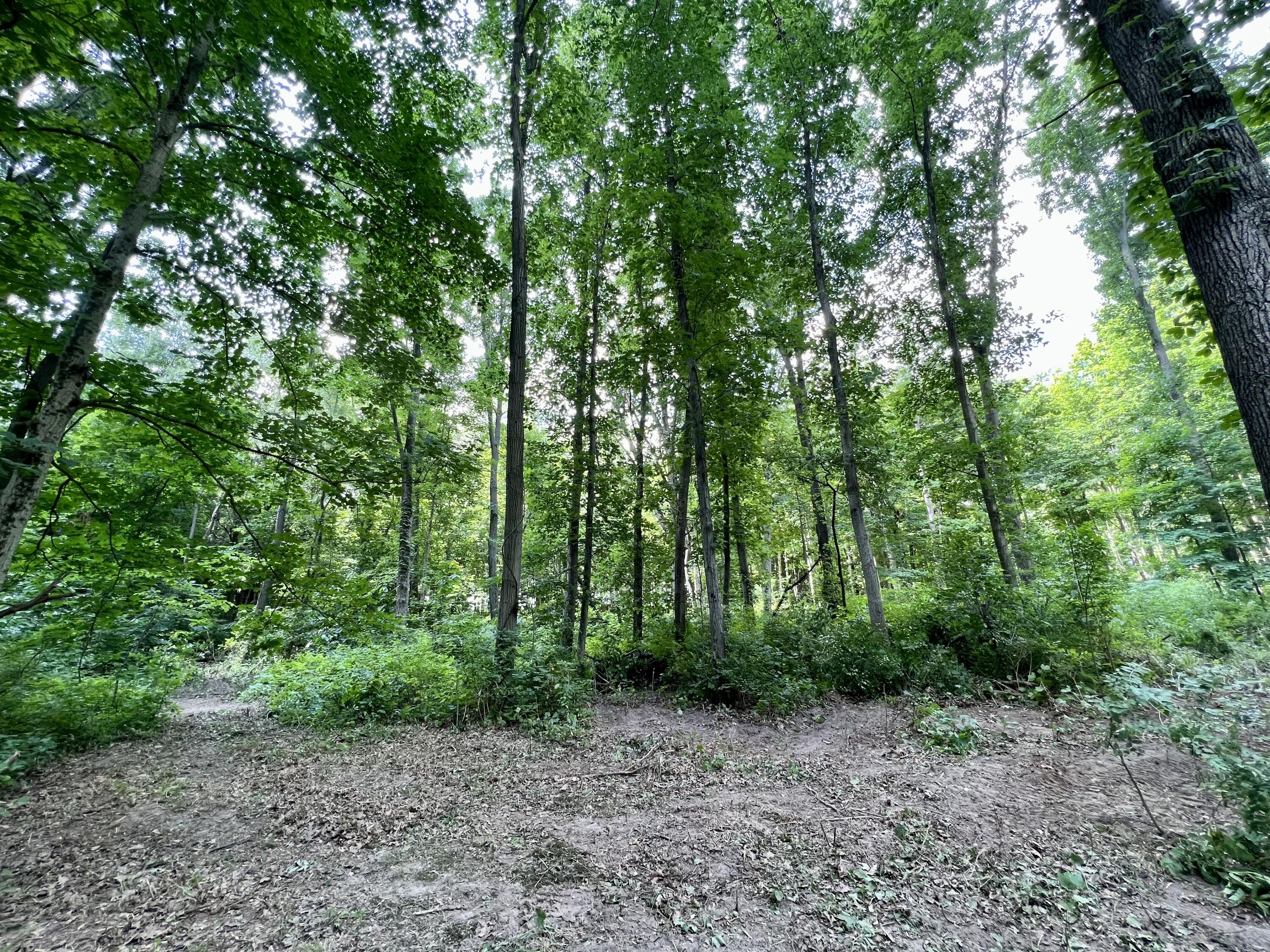 58497 Oak Grove Road Cassopolis, MI 49031 - Photo 10 of 13 D4D61C87-7697-445B-B9DE-EE3250C9D0D7