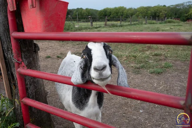 $630,000 | 14762 175th Street, Nortonville, KS 66060