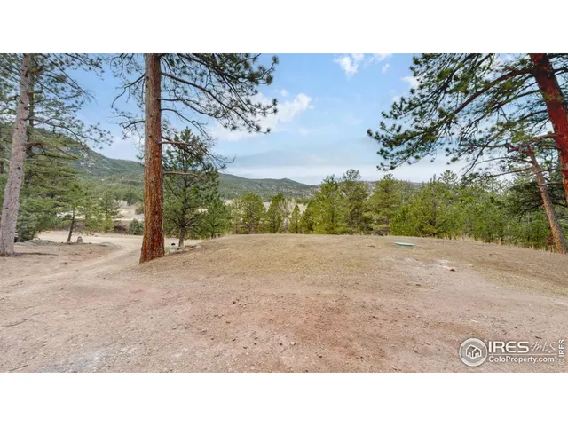 a black and white photo of a park