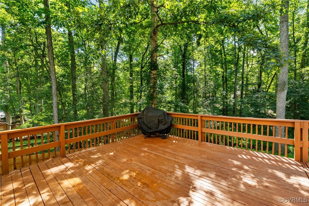 1453 Lockett Ridge Road Midlothian, VA 23114 - Photo 15 of 19 Gallery Image 15