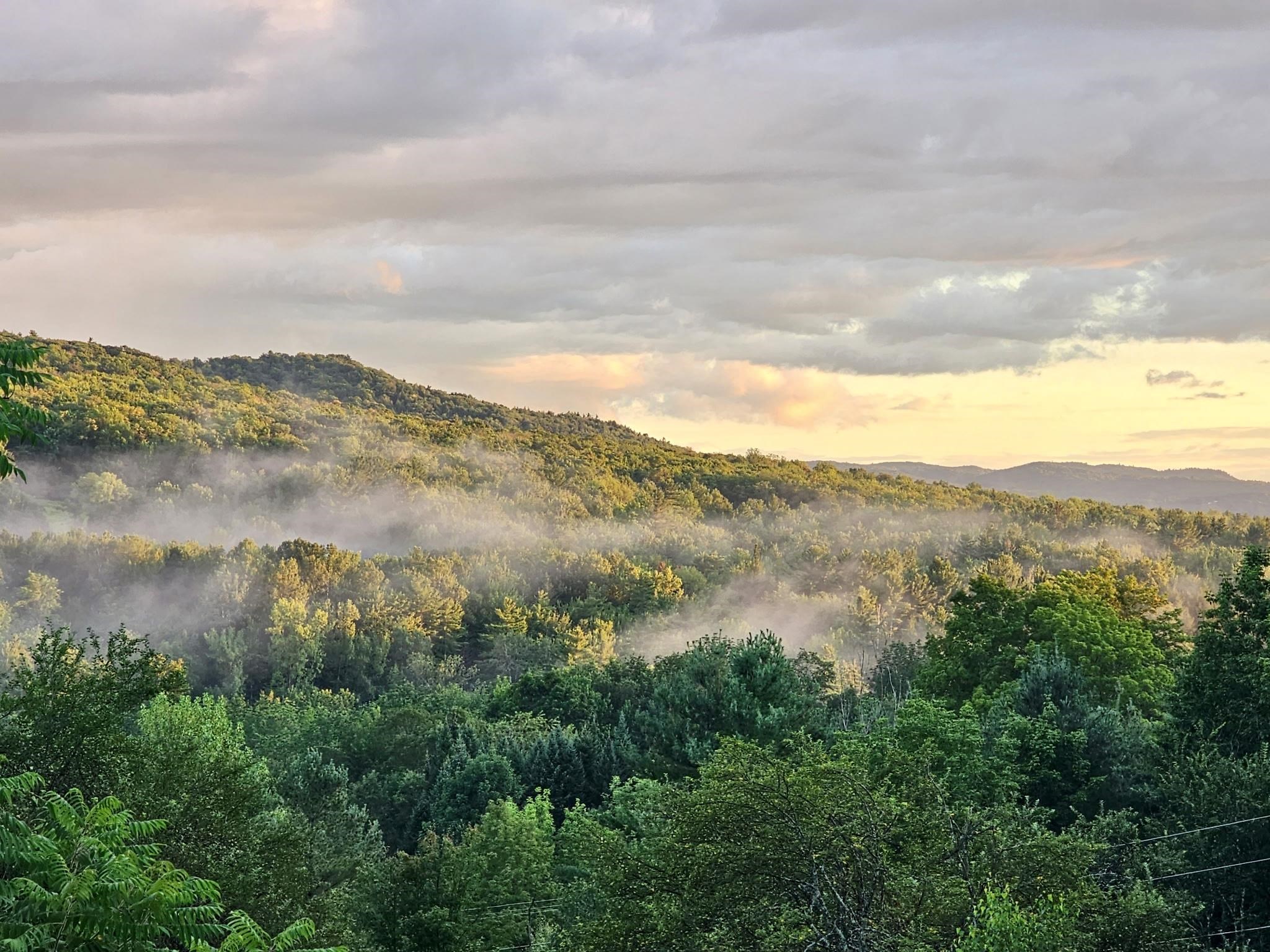 49 Nashville Road Jericho, VT 05465 - Photo 57 of 60
