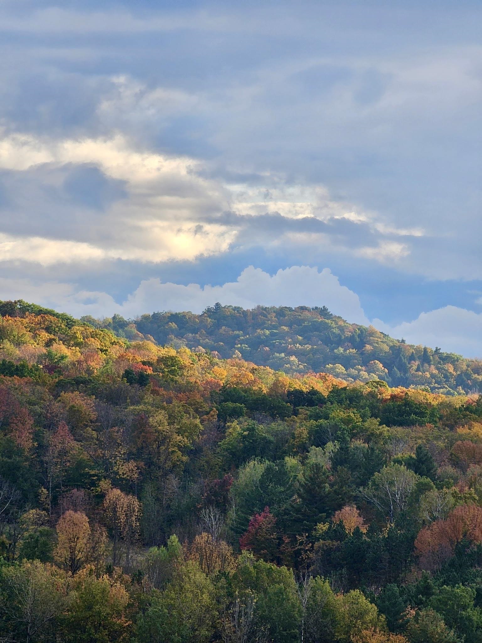 49 Nashville Road Jericho, VT 05465 - Photo 58 of 60