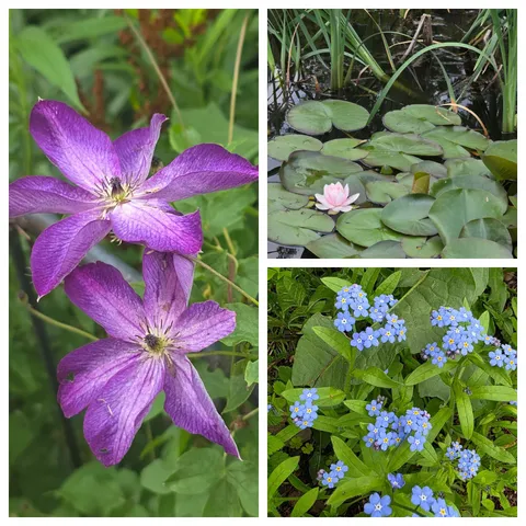 $785,000 | 49 Nashville Road, Jericho, VT 05465