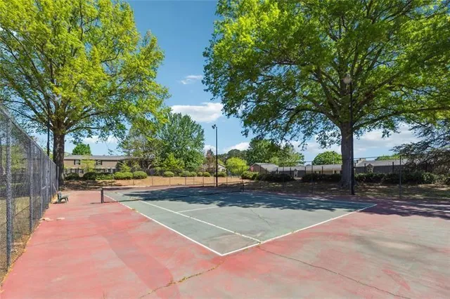 a view of a yard with plants and trees