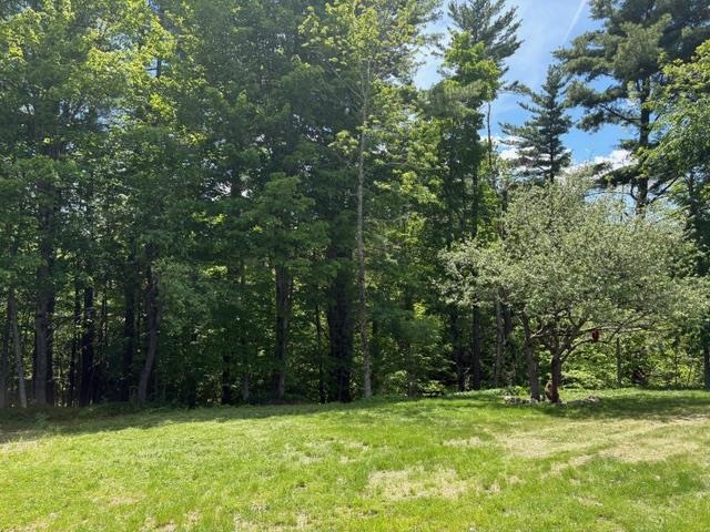 357 Parker Road Carroll, NH 03598 - Photo 4 of 18