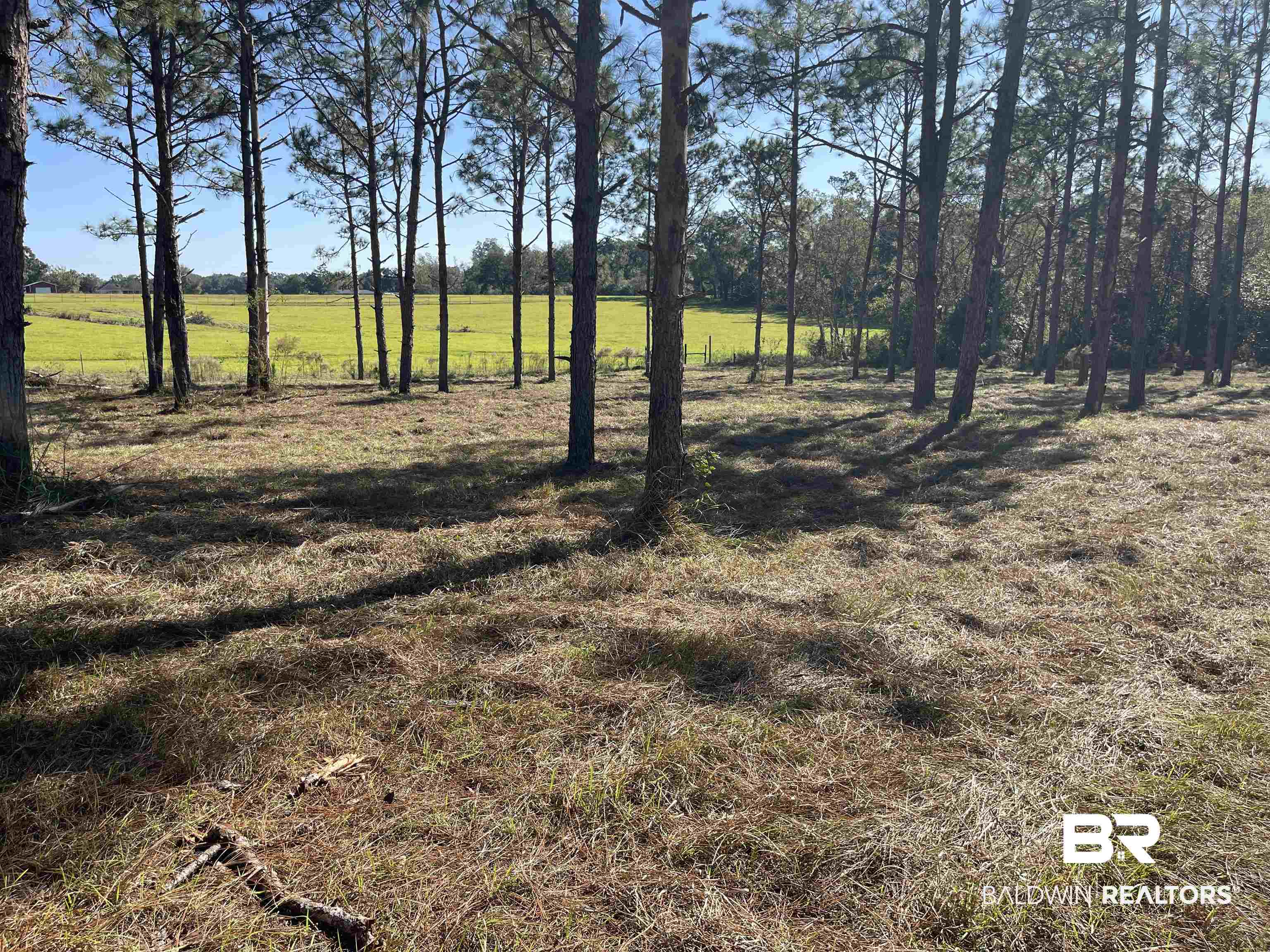 0 Fackler Road Loxley, AL 36551 - Photo 1 of 11 View of nature featuring a rural view