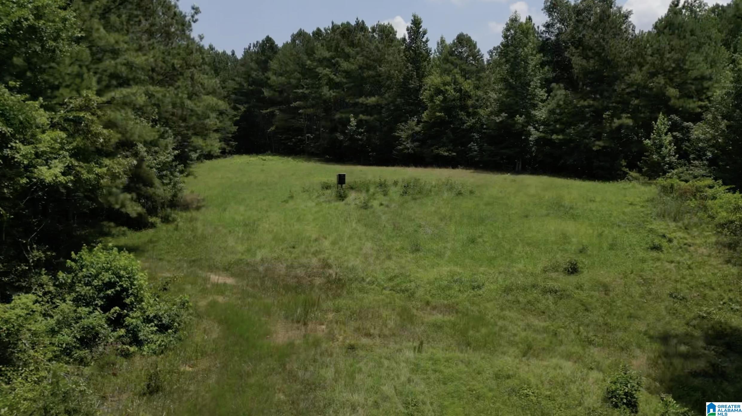 9600 Highway 77, Unit 1 Ohatchee, AL 36271 - Photo 6 of 18