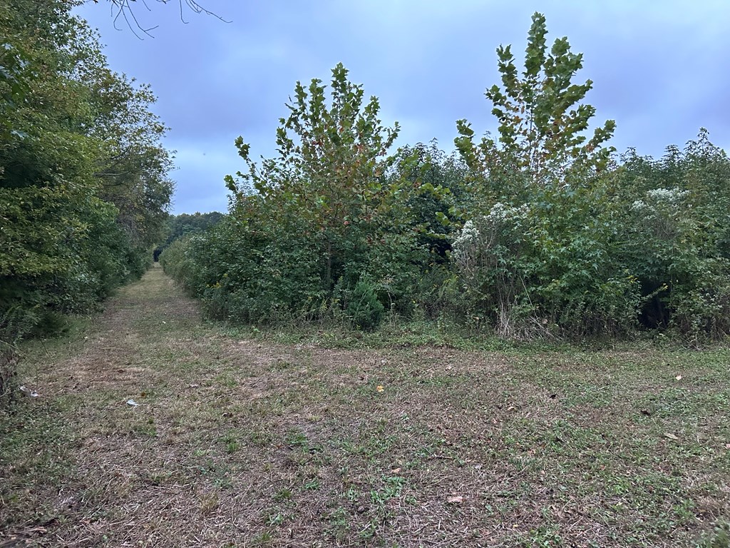 Lot 17 Red Bank Road, Unit 17 Birdsnest, VA 23307 - Photo 2 of 8