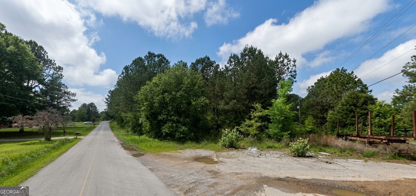 0 Collard Valley Road, Unit LOT 1 Cedartown, GA 30104 - Photo 3 of 8