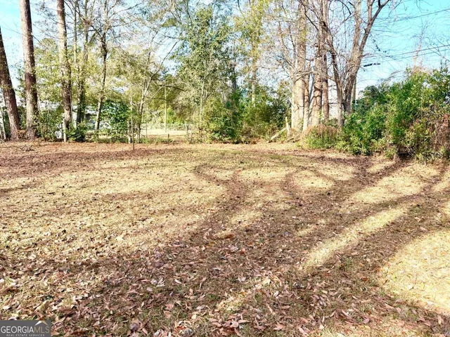 a view of outdoor space with yard