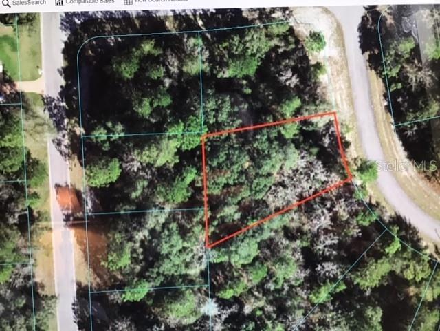 152 Southwest 147 Lane Road Ocala, FL 34473 - Photo 1 of 1