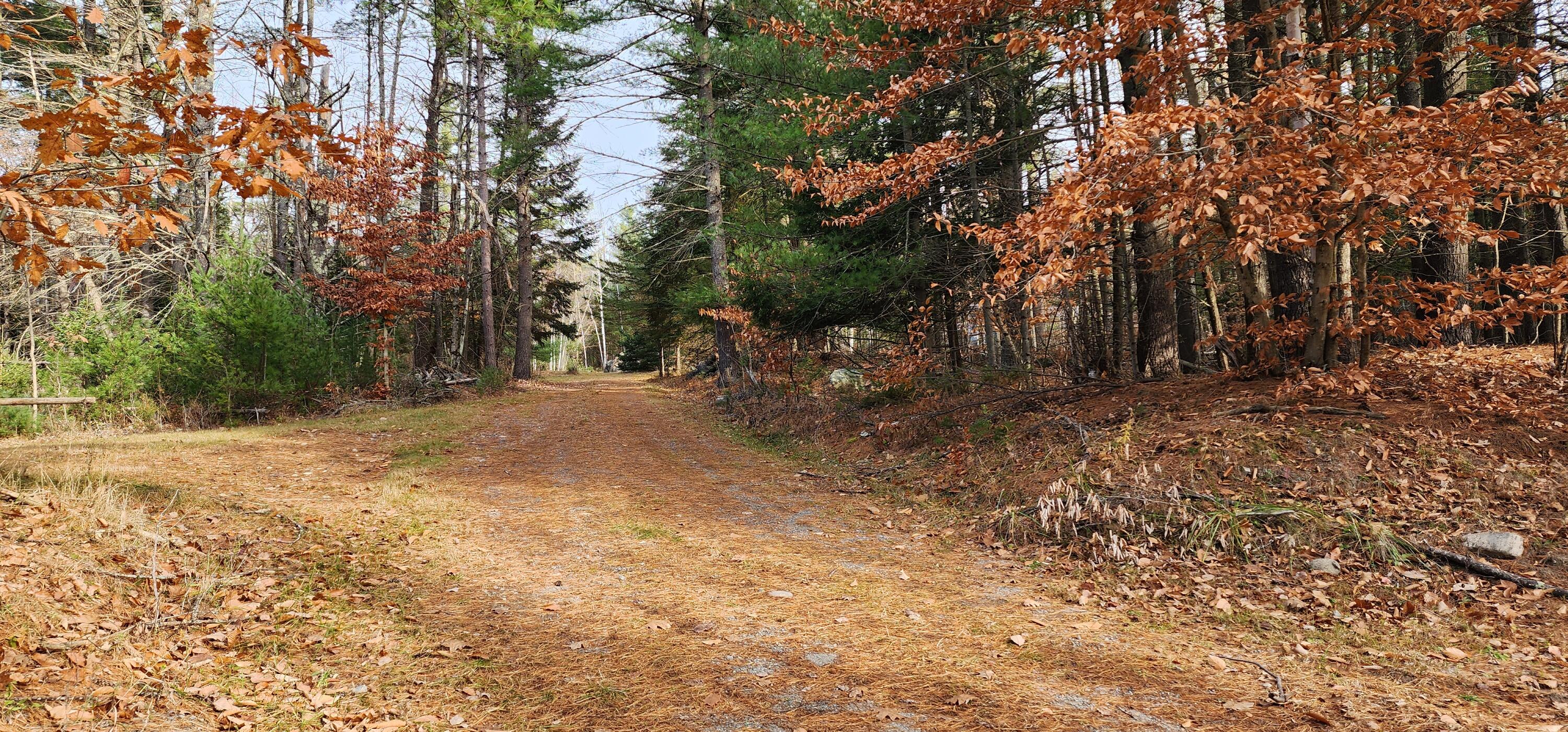 225 Hazen Road Jay, NY 12941 - Photo 17 of 19 Gallery Image 17