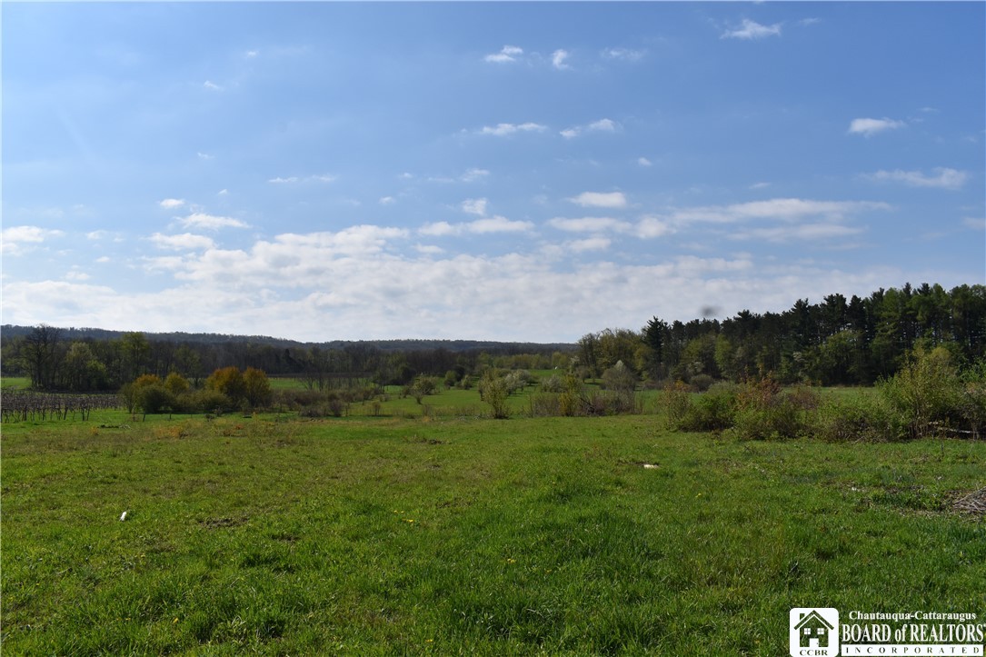 6637 Ellicott Road Portland, NY 14769 - Photo 33 of 39