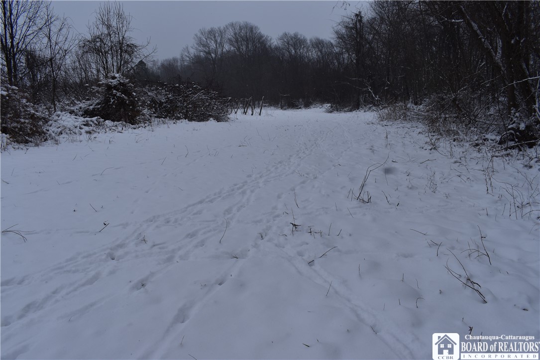 6637 Ellicott Road Portland, NY 14769 - Photo 39 of 39