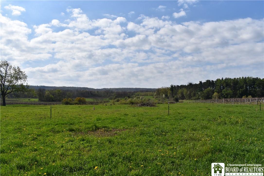 6637 Ellicott Road Portland, NY 14769 - Photo 6 of 39