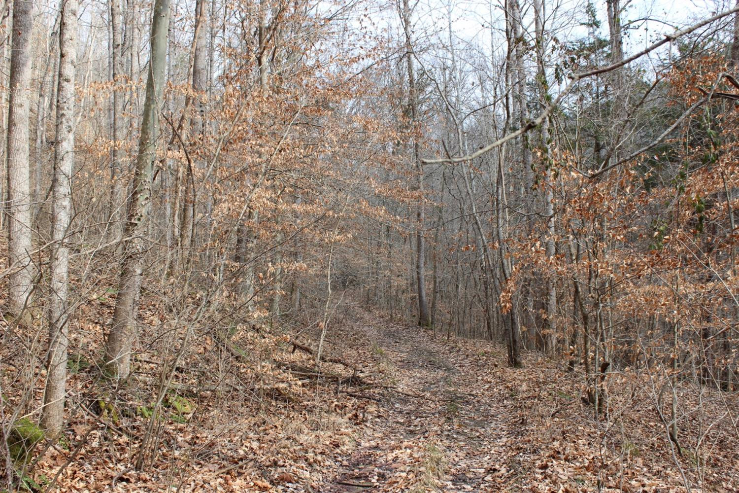 2010 Pryse Road Irvine, KY 40336 - Photo 15 of 56 Photo 15