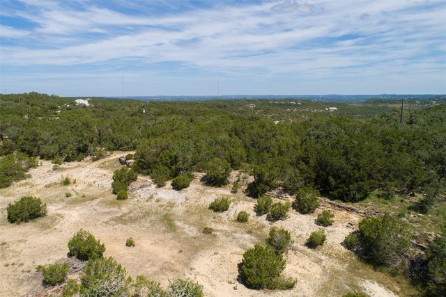 a view of a bunch of trees in a field