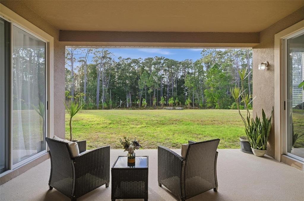 2914 Lee Shore Loop Orlando, FL 32820 - Photo 86 of 96