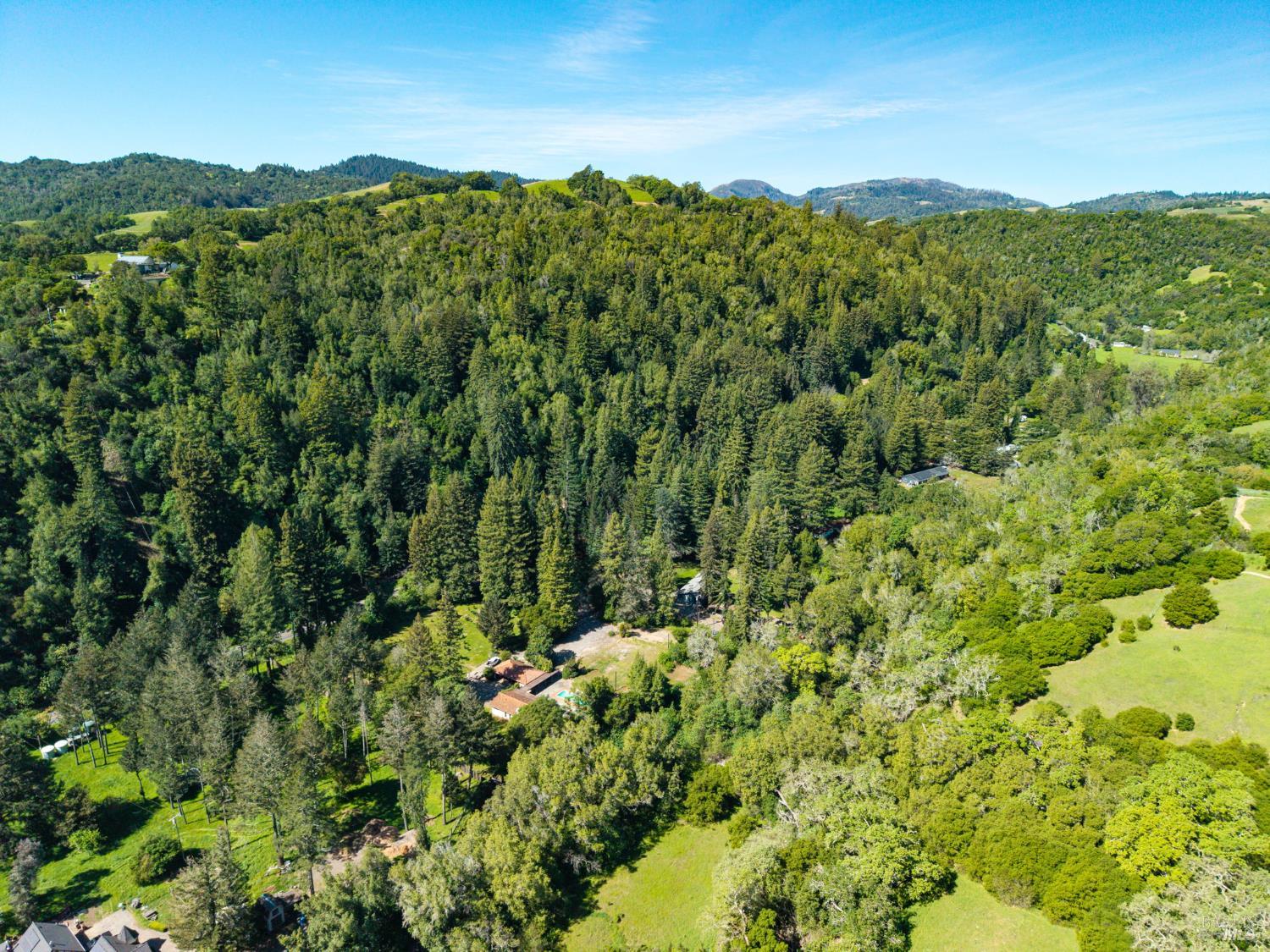 3320 Redwood Road Napa, CA 94558 - Photo 47 of 57 a view of a lush green field with a mountain in the background