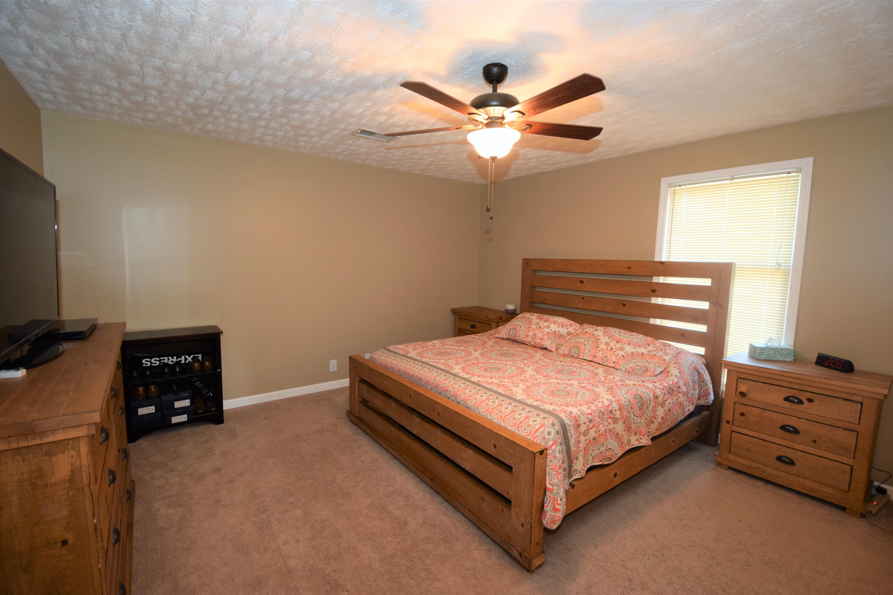 143 Maple Tree Lane Watauga, TN 37694 - Photo 20 of 31 DSC_1095