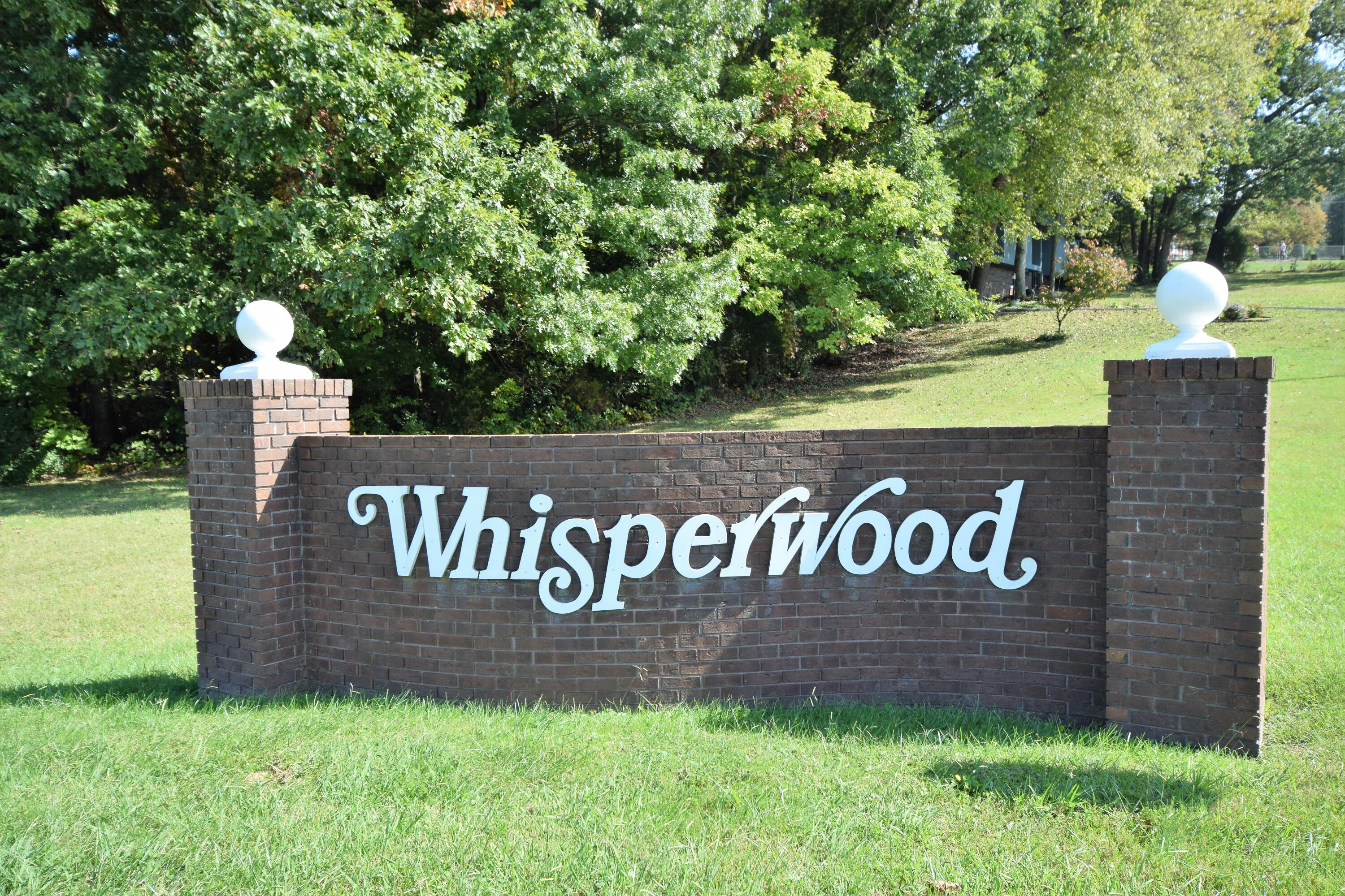 143 Maple Tree Lane Watauga, TN 37694 - Photo 31 of 31 DSC_1108