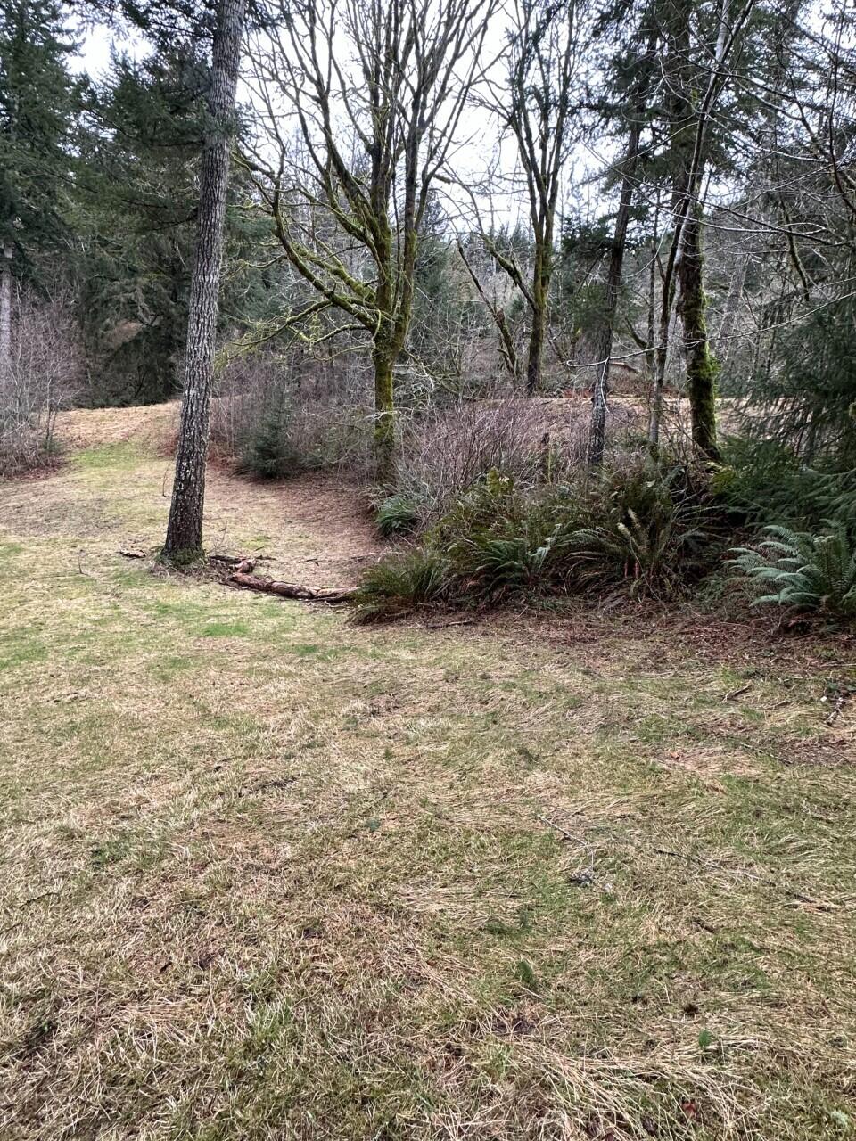 11-12 Big Trout Road Grand Ronde, OR 97347 - Photo 14 of 17 pic13_IMG_0800